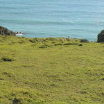 dsc00048.jpg