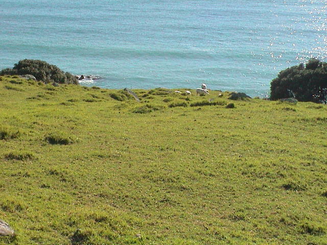 dsc00048.jpg