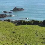 dsc00049.jpg