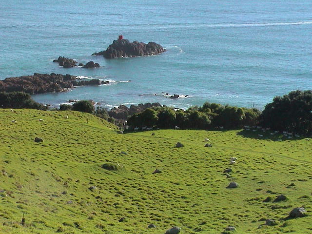 dsc00049.jpg