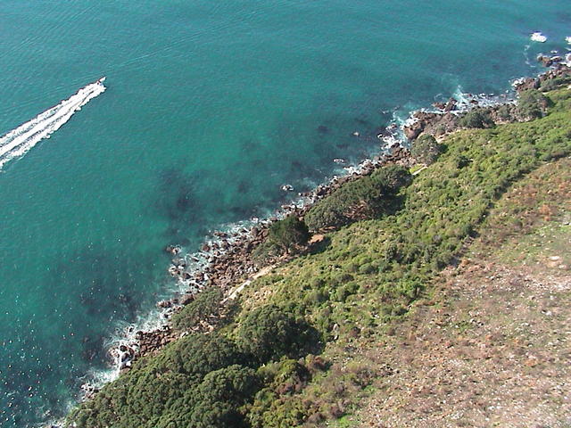 dsc00052.jpg