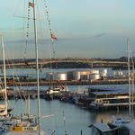dsc00072.jpg