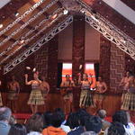 dsc00084.jpg