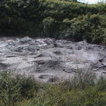 dsc00089.jpg