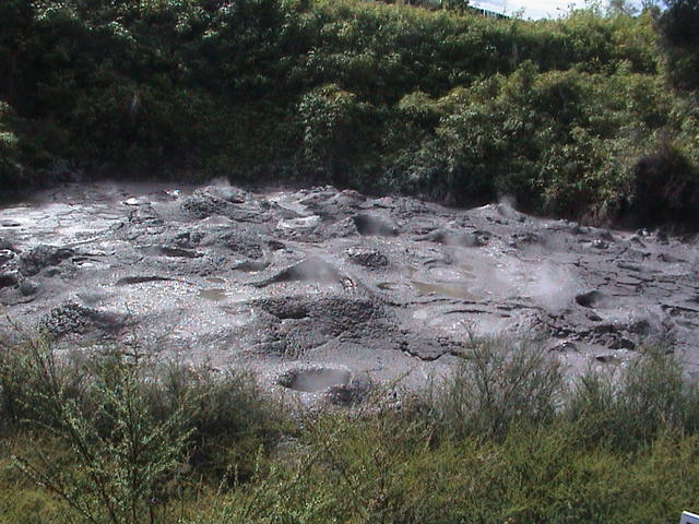 dsc00089.jpg