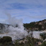 dsc00090.jpg