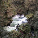 dsc00096.jpg