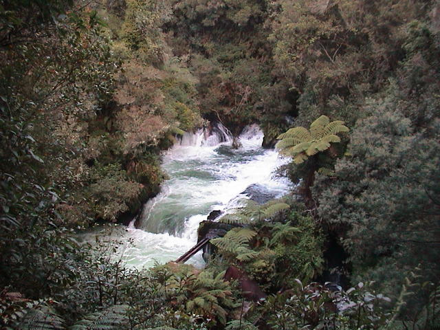 dsc00096.jpg