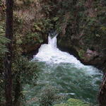 dsc00097.jpg