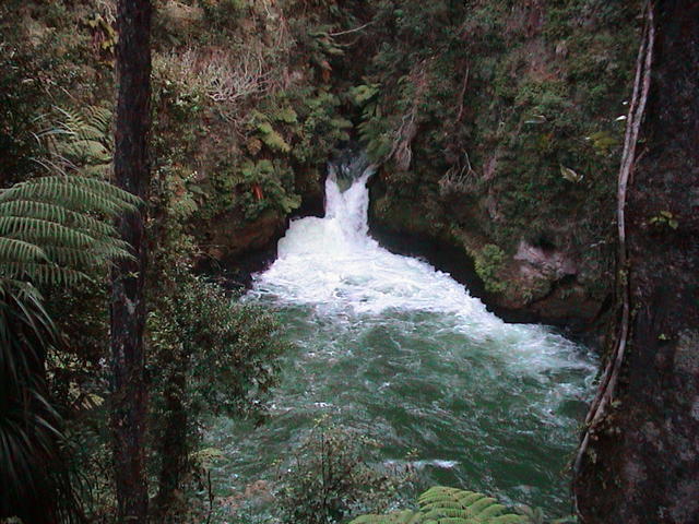 dsc00097.jpg