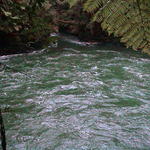 dsc00098.jpg
