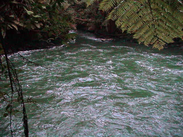 dsc00098.jpg