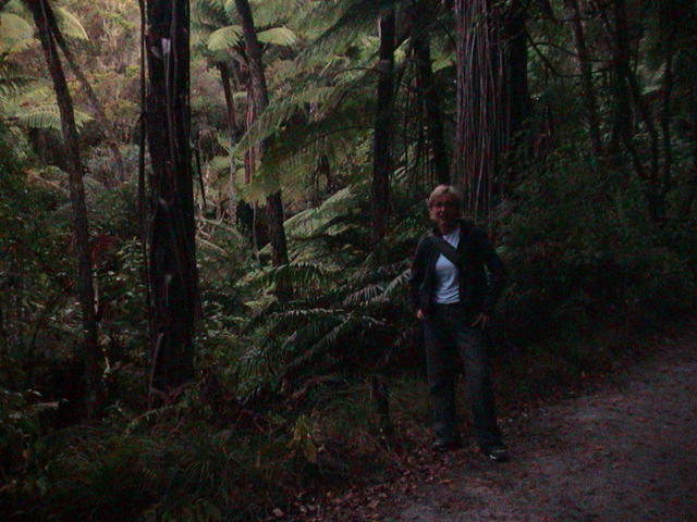 dsc00104.jpg