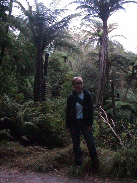dsc00105.jpg