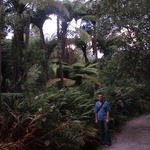 dsc00106.jpg