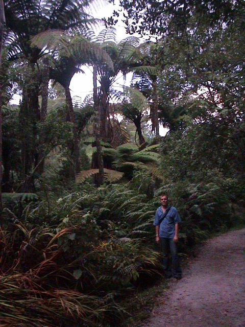dsc00106.jpg
