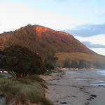 dsc00109.jpg
