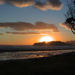 dsc00110.jpg
