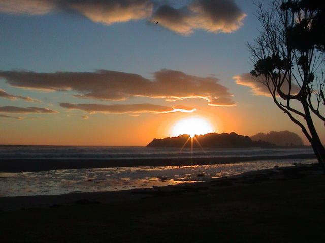 dsc00110.jpg