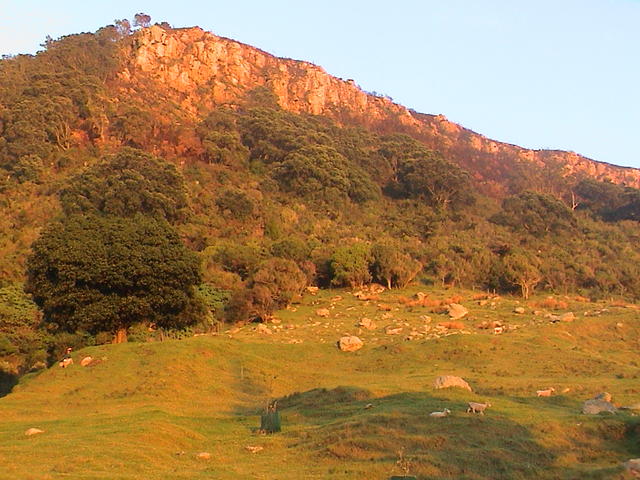 dsc00112.jpg