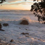 dsc00113.jpg