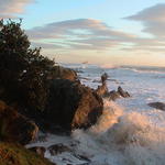 dsc00114.jpg