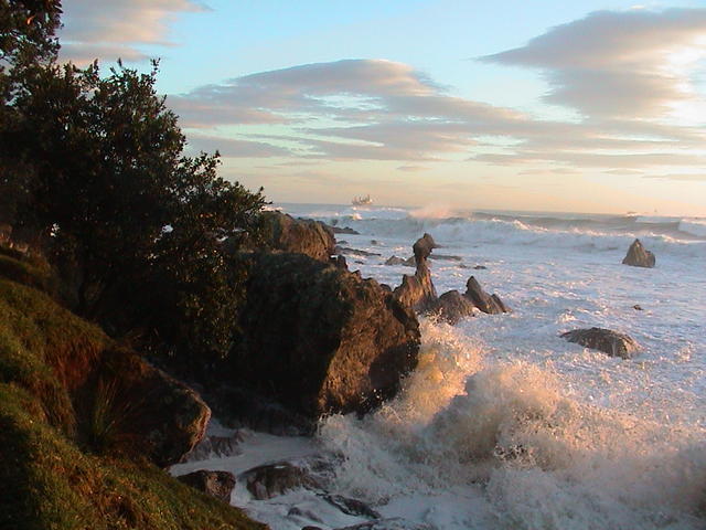 dsc00114.jpg