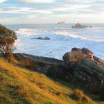 dsc00115.jpg