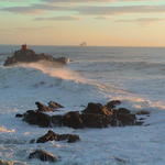 dsc00116.jpg
