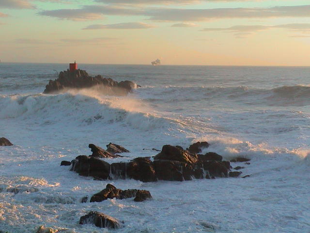 dsc00116.jpg