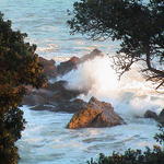 dsc00117.jpg