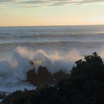 dsc00120.jpg