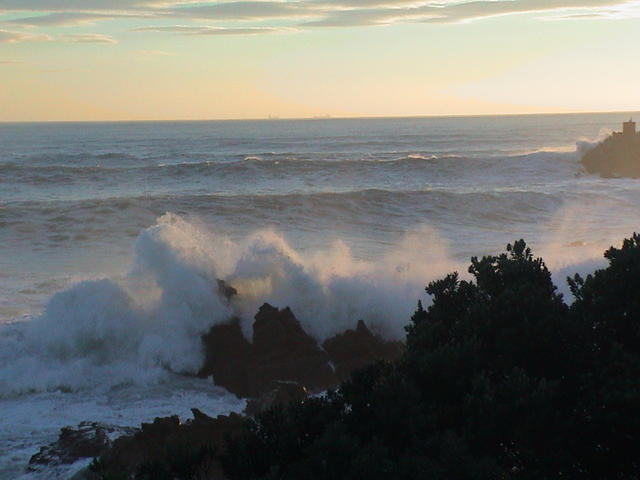 dsc00120.jpg