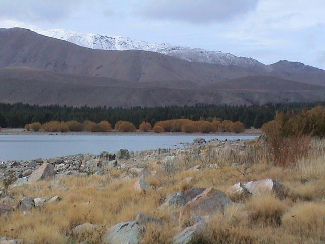 dsc00125.jpg