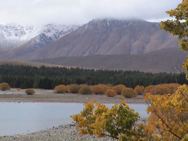 dsc00127.jpg