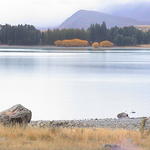 dsc00128.jpg