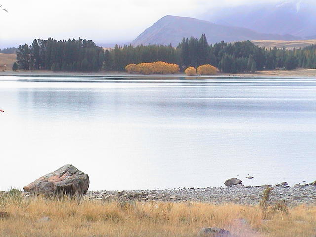 dsc00128.jpg