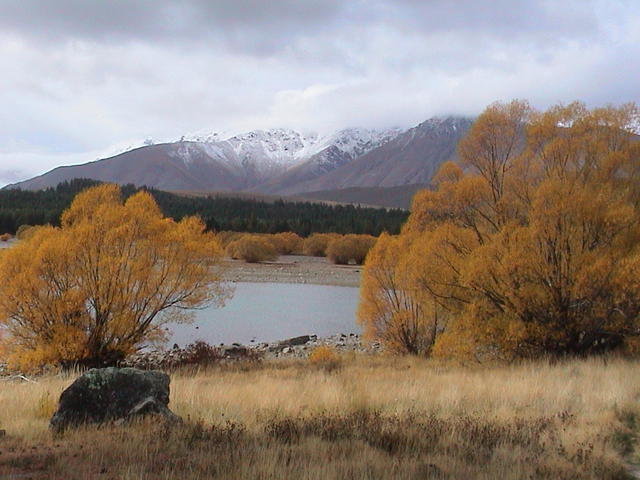 dsc00129.jpg