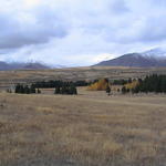 dsc00130.jpg