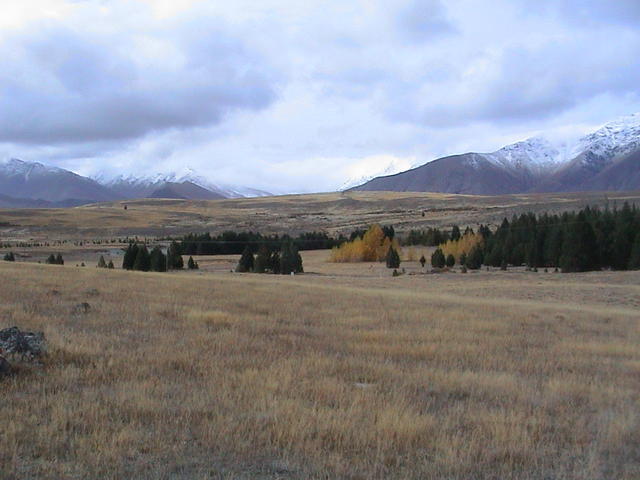 dsc00130.jpg
