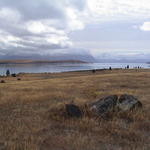 dsc00131.jpg