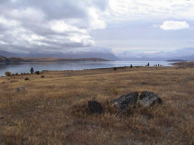 dsc00131.jpg