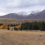 dsc00132.jpg