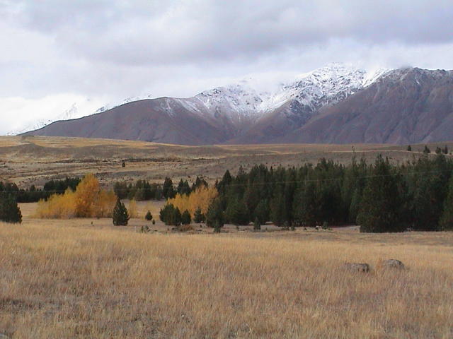 dsc00132.jpg
