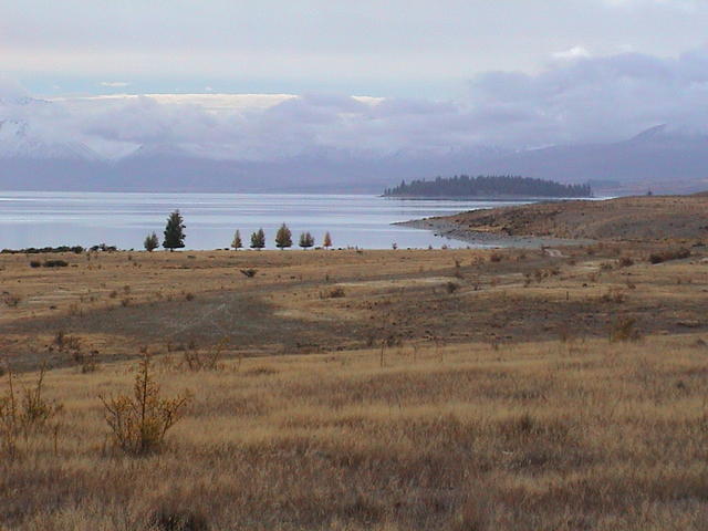 dsc00133.jpg