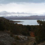 dsc00137.jpg