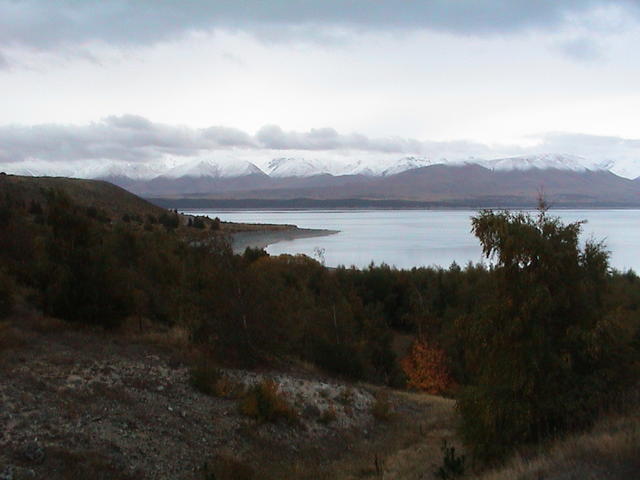 dsc00137.jpg