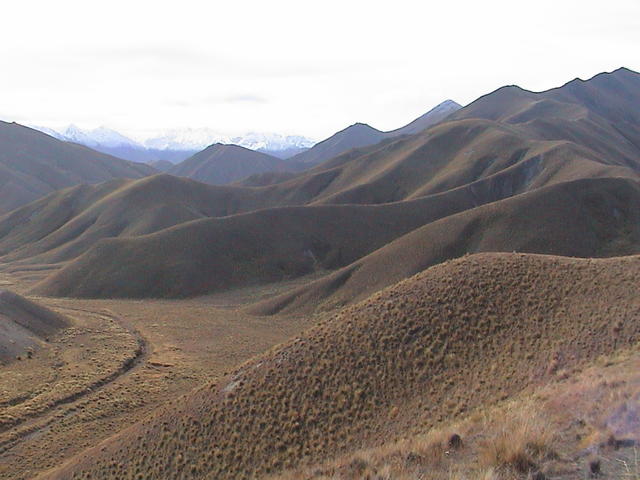 dsc00150.jpg