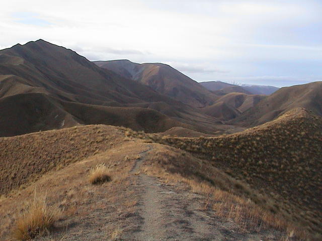 dsc00151.jpg