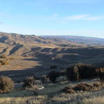 dsc00153.jpg